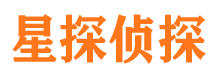 金台调查公司